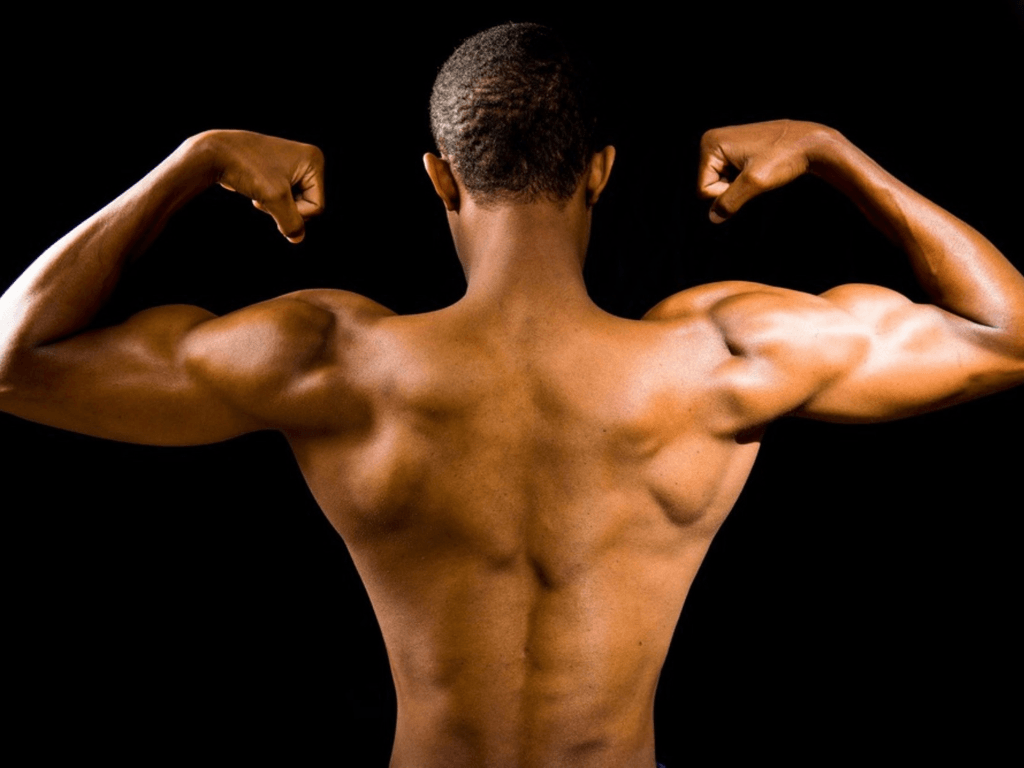 lose fat and gain muscle