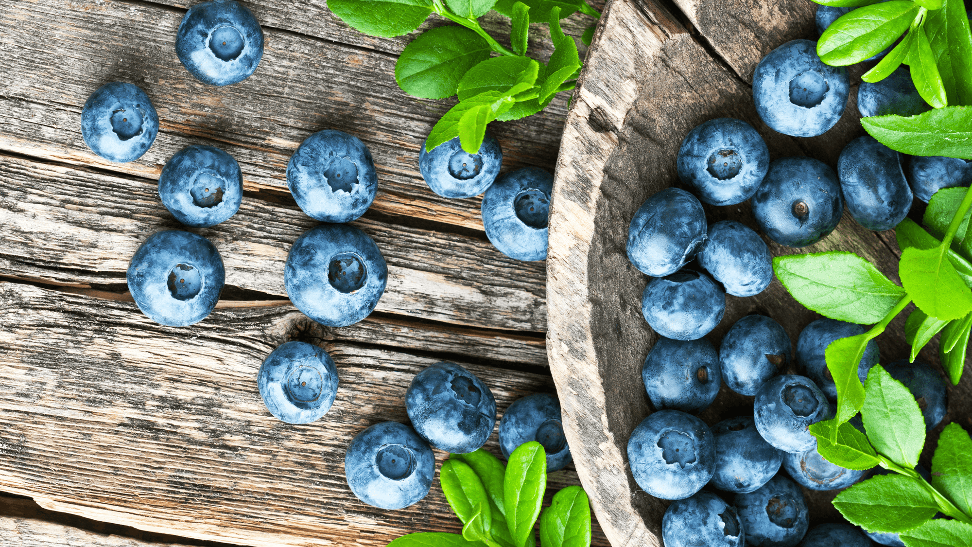 Nutrition Spotlight: Seasonal Superfoods to Boost Your Health in March - Lepulse