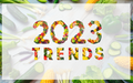 TOP 6 FOOD NUTRITION TRENDS THAT HELP LOWER BODY FAT PERCENTAGE IN 2023