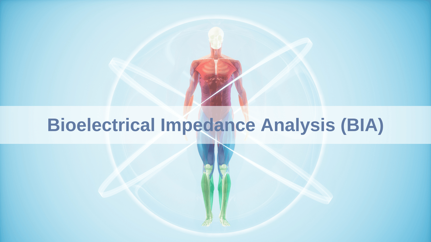 How Accurate Is Bioelectrical Impedance Body Fat at David Sells blog
