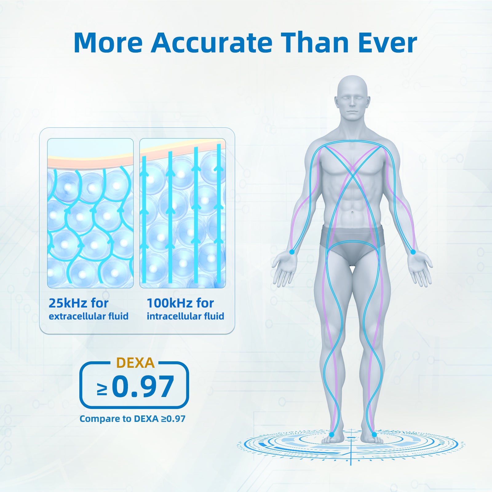 Lepulse P1 Professional 8 Electrodes Body Fat Scale